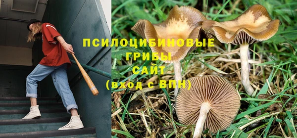 бутират Абаза