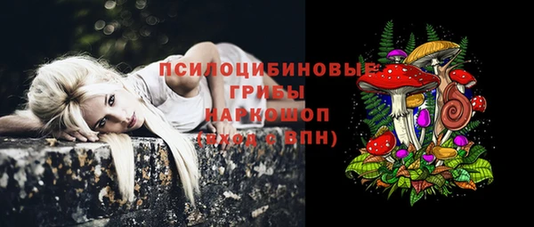 соль ск Абинск